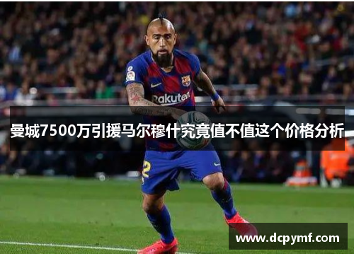 曼城7500万引援马尔穆什究竟值不值这个价格分析