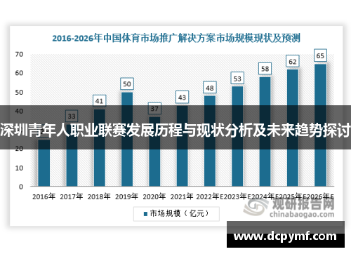 深圳青年人职业联赛发展历程与现状分析及未来趋势探讨
