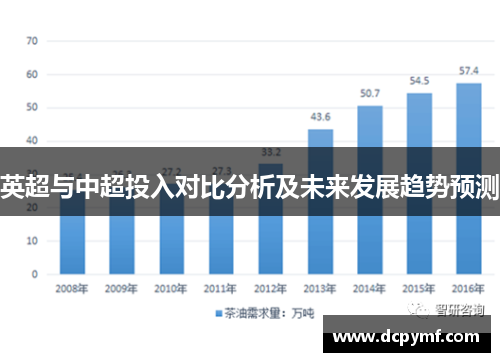 英超与中超投入对比分析及未来发展趋势预测
