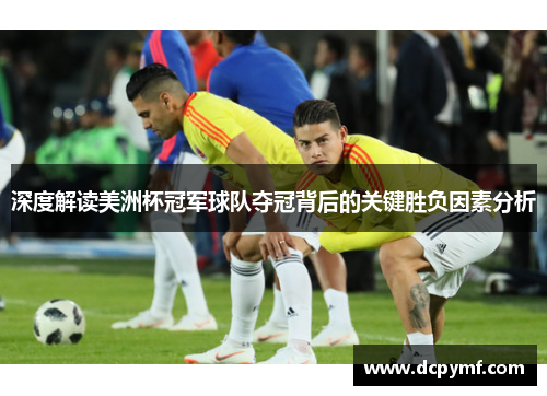 深度解读美洲杯冠军球队夺冠背后的关键胜负因素分析 深度解读美洲杯冠军球队夺冠背后的关键胜负因素分析