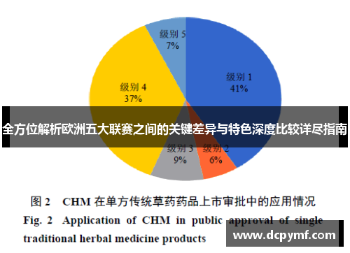 全方位解析欧洲五大联赛之间的关键差异与特色深度比较详尽指南