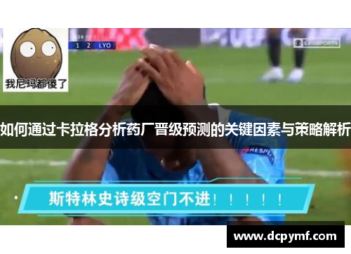 如何通过卡拉格分析药厂晋级预测的关键因素与策略解析